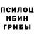 Галлюциногенные грибы Cubensis Sasa Eritrea