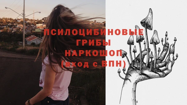 ешки Беломорск